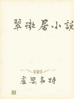 翠微居小说