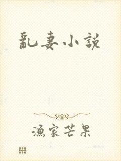乱妻小说
