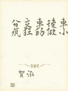 公交车后车座的疯狂的做小