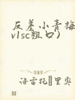 反差小青梅(1v1sc粗口)