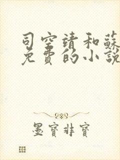 司空靖和苏月汐免费的小说笔趣阁