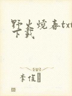 野火烧春txt下载