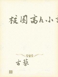 校园高h小说