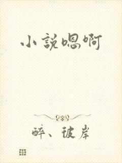 小说嗯啊