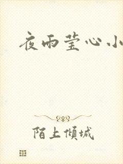夜雨莹心小说