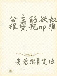 公主的欲奴h四根双龙np视频