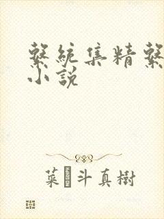 系统集精系统 小说