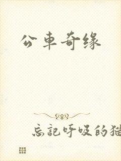 公车奇缘