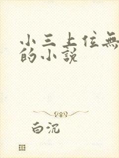 小三上位无三观的小说