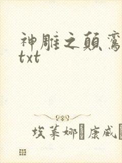 神雕之颠鸾倒凤txt