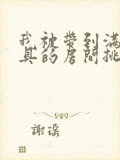 我被带到满是玩具的房间挑调作文