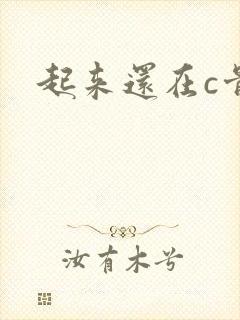 起来还在c骨科