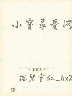 小宝寻爱网
