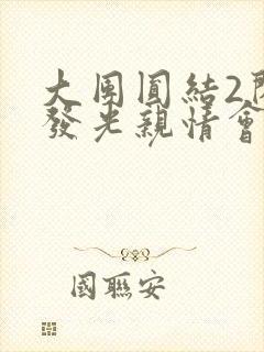 大团圆结2闪闪发光亲情会