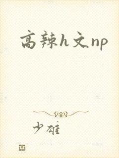 高辣h文np