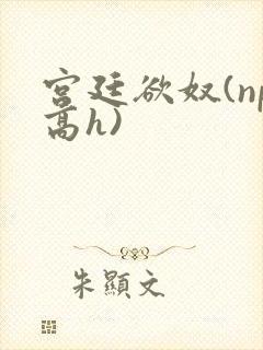宫廷欲奴(np高h)