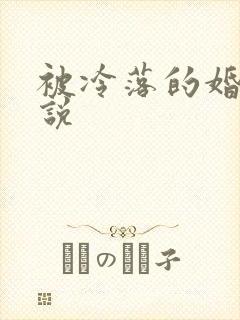 被冷落的婚姻小说