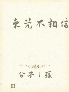 东莞不相信眼泪