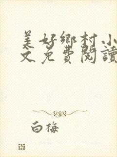 美好乡村小说全文免费阅读