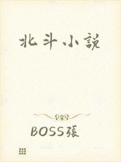 北斗小说