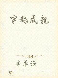 穿越成龙