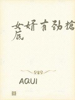 女婿有劲枪枪到底