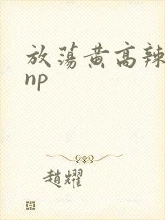 放荡黄高辣h文np