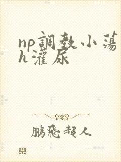 np调教小荡货h灌尿