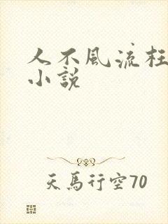 人不风流枉少年小说