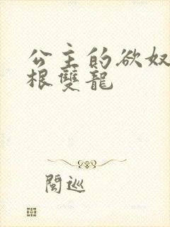 公主的欲奴h四根双龙