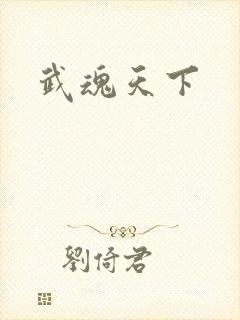 武魂天下