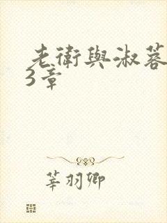 老卫与淑蓉第13章