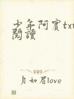 少年阿宾txt阅读