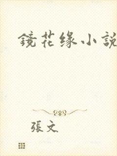 镜花缘小说