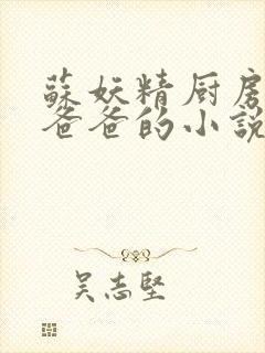 苏妖精厨房爹爹爸爸的小说