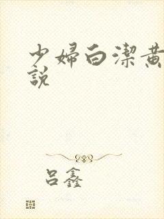 少妇白洁黄色小说