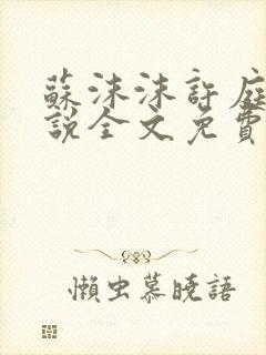 苏沫沫许庭川小说全文免费阅读