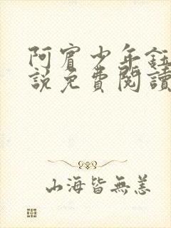 阿宾少年钰慧小说免费阅读笔趣阁