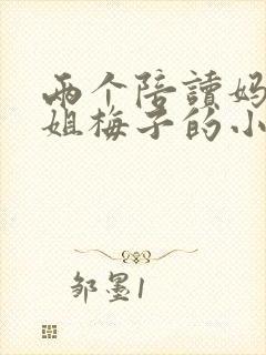 两个陪读妈妈赵姐梅子的小说