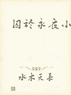 囚于永夜小说