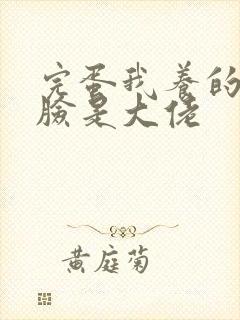 完蛋我养的小白脸是大佬