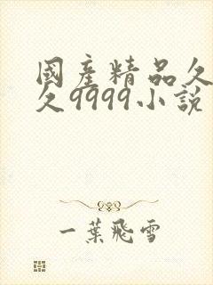 国产精品久久久久9999小说