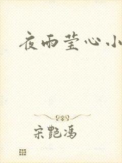 夜雨莹心小说