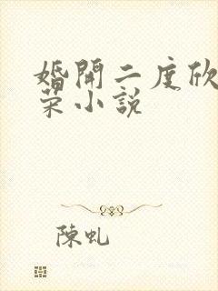 婚开二度欣欣向荣小说