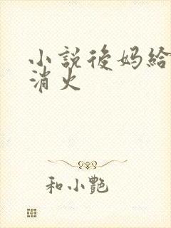 小说后妈给我消消火