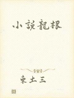 小说龙根