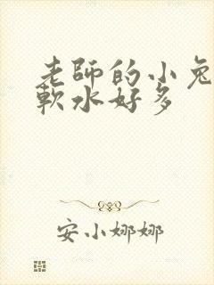 老师的小兔子好软水好多