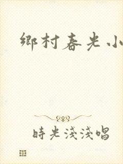 乡村春光小说