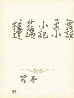 校花小柔舞蹈室遭遇记小说