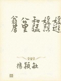 翁公和媛媛在厨房里猛烈进出